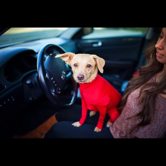 XS Shed Defender - Picture 1 of 2